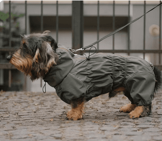 Long Dog Raincoat