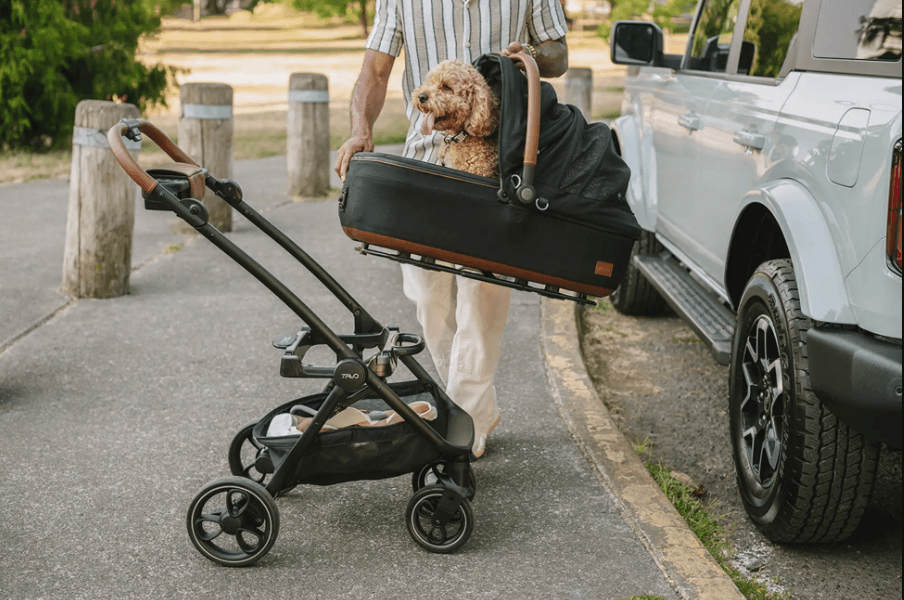 3-in-1 Pet Car Seat and Stroller