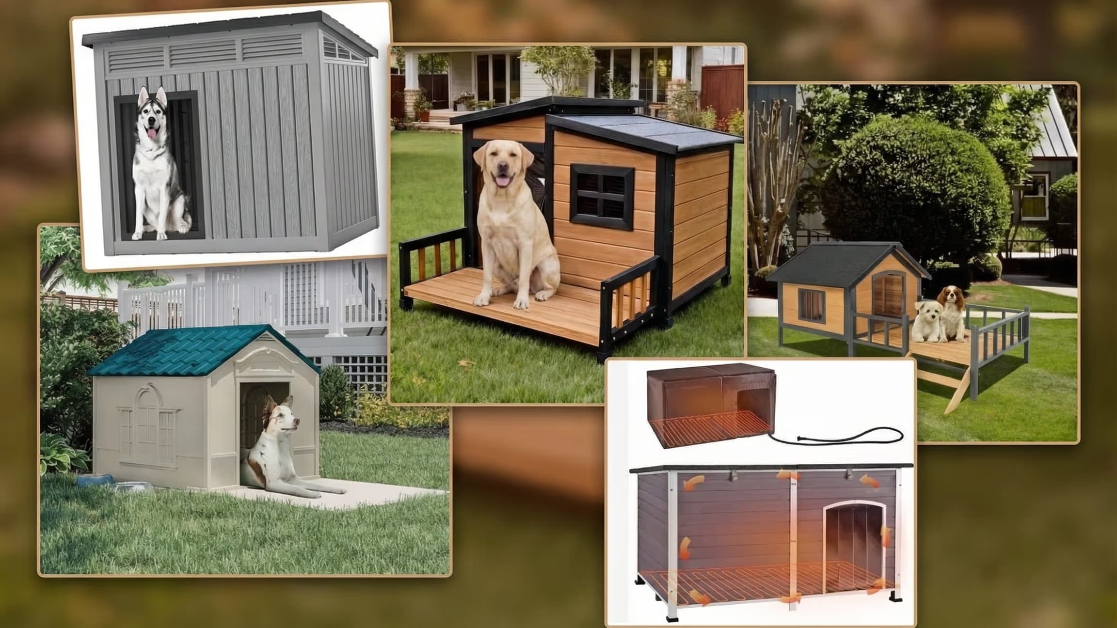 5 Best Outdoor Dog Houses Compared: From Budget-Friendly to Premium Builds
