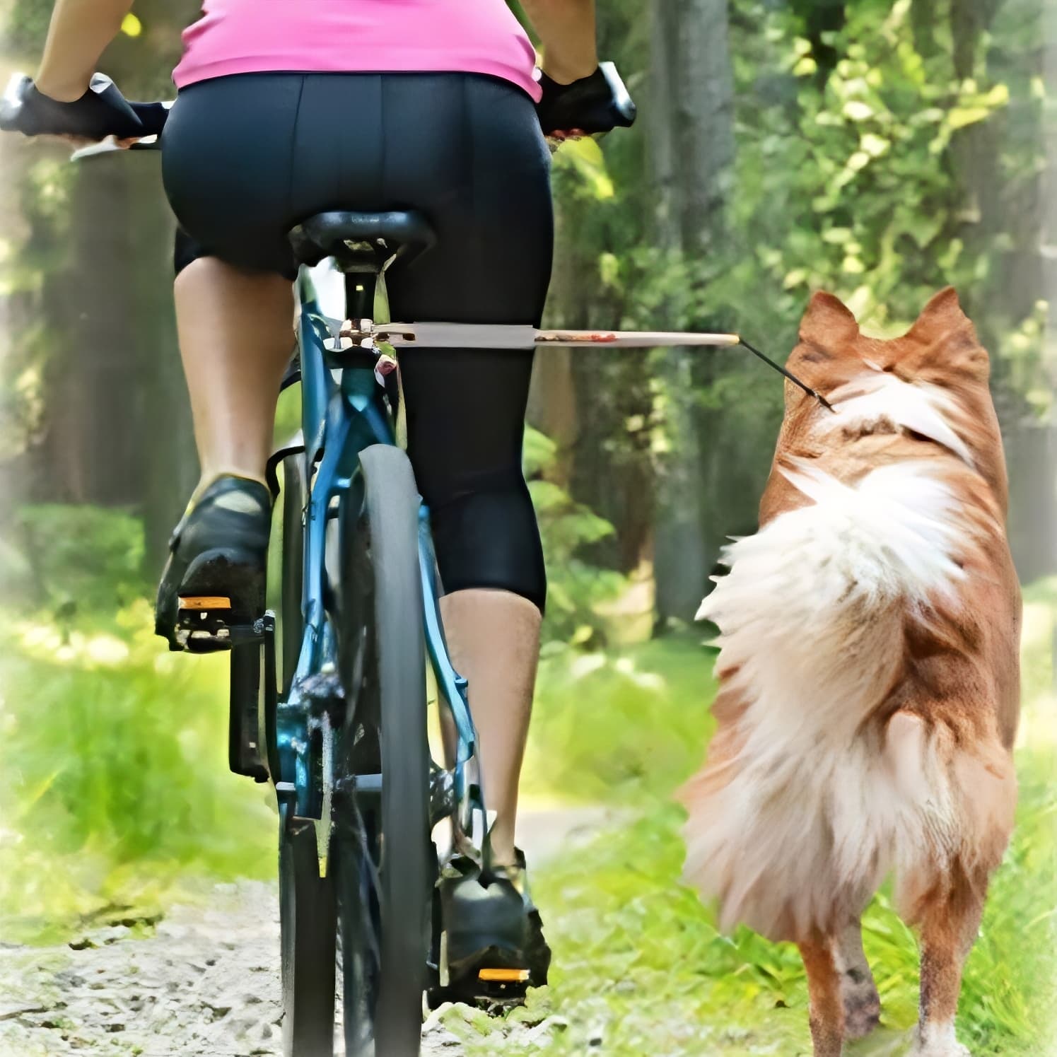 Hands Free Dog Bike Leash
