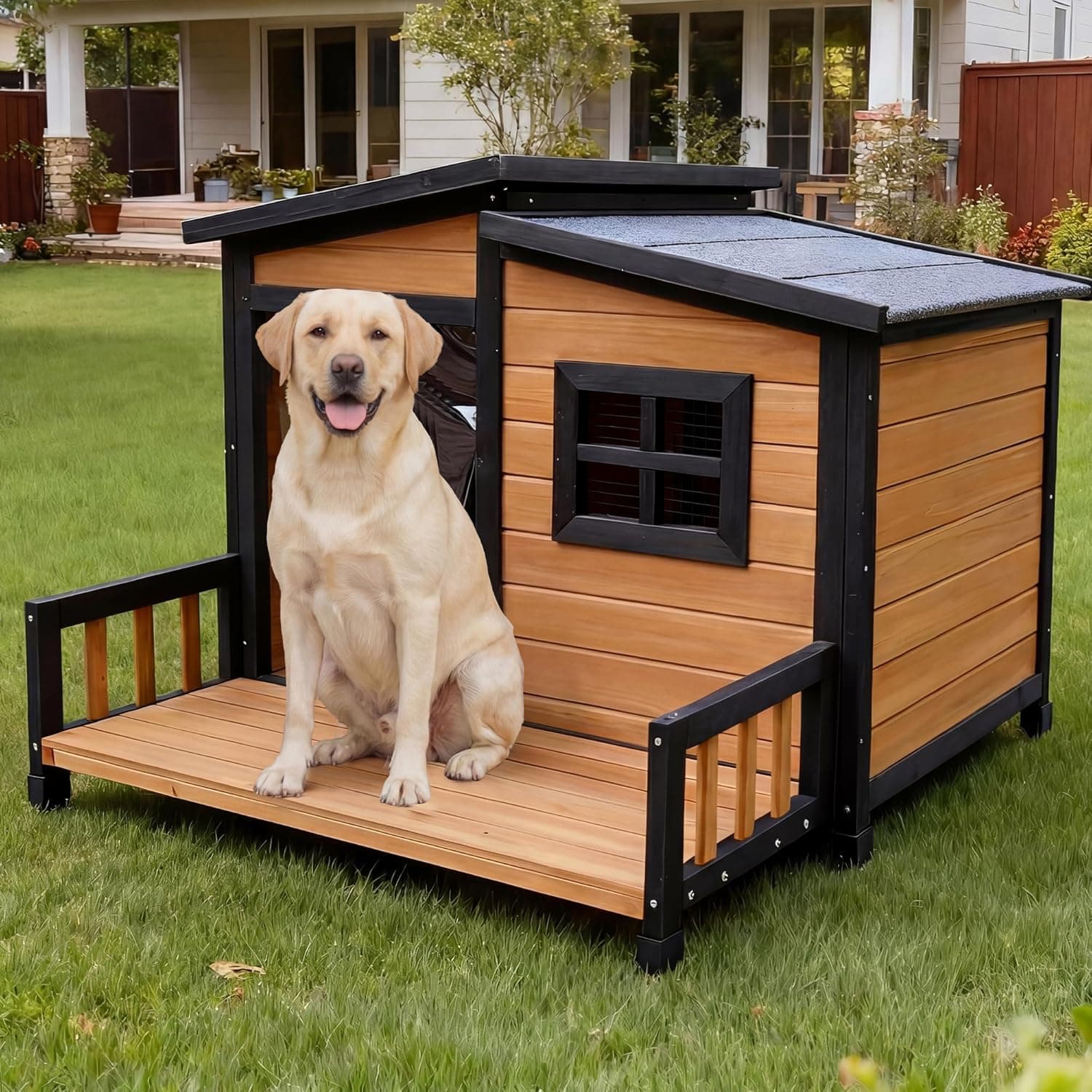 Built for the Dog Who Broke the Last One