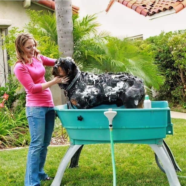 Elevated Dog Bathing Station